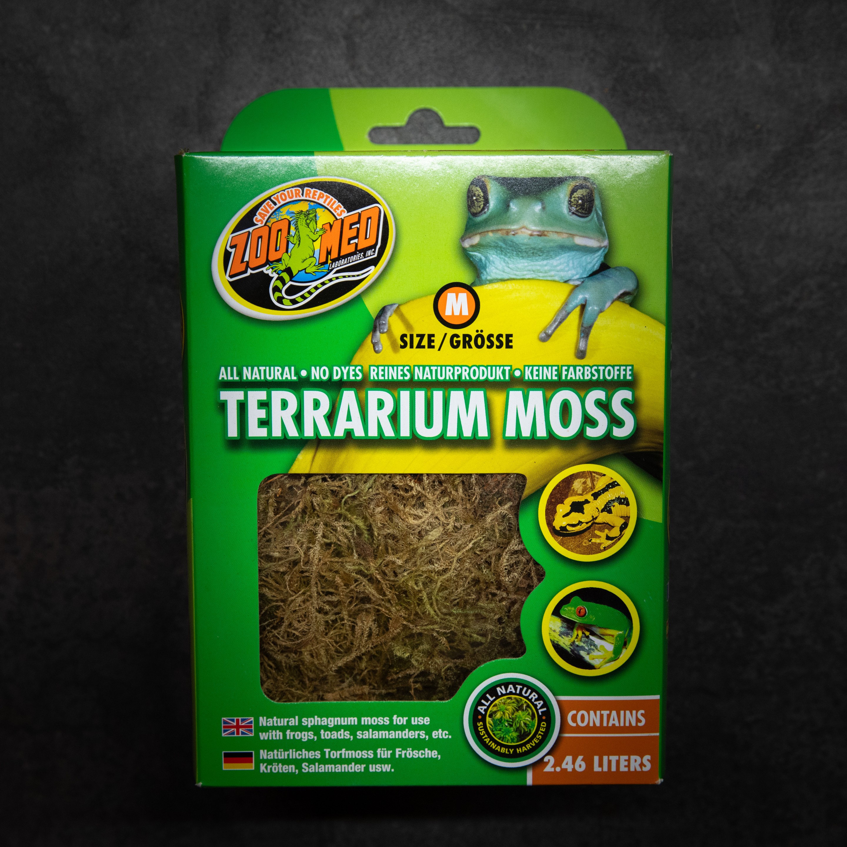 Terrarium_Moss